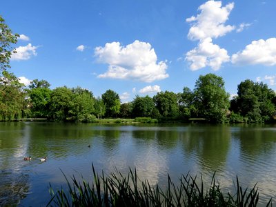 友好的积极判决1