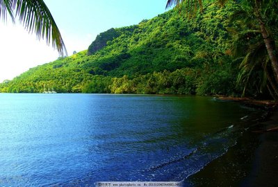 15.金合欢是一种不可信的语言,它是一种含泪的花笔记。 - 道“鹧鸪天三首首”