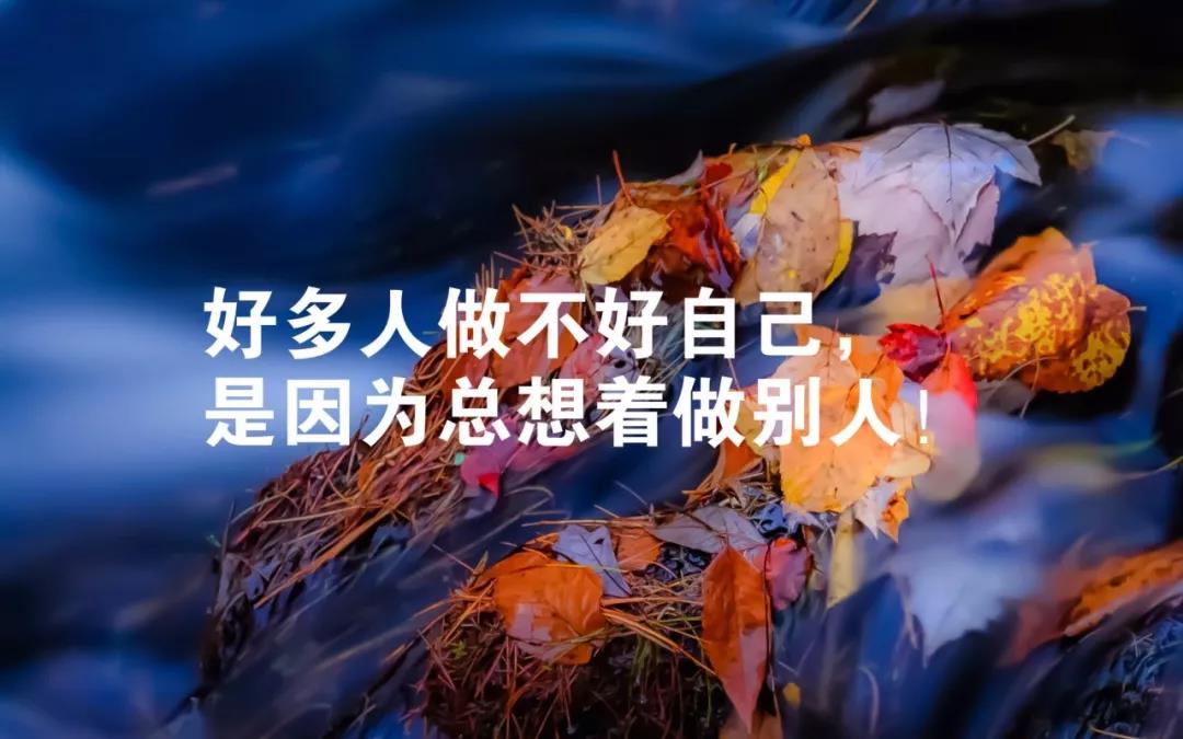 新的一年给自己1