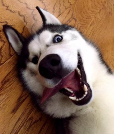 关于友谊英语综合征句子