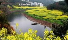 友情像五角星的句