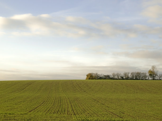 五角恒星的友好地位