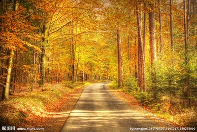 友好迷失在句子1