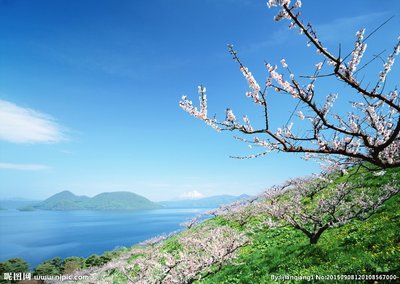 15.人们经常关心别人，但经常忽略自己，你关心别人。