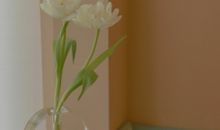 民国情话 超甜的民国爱情文案