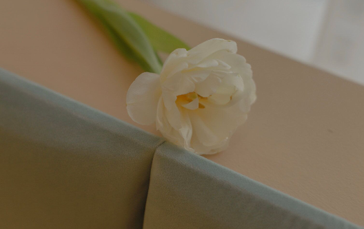 中华民国爱超级甜蜜共和国爱文1