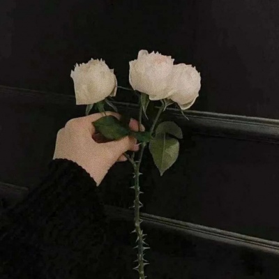 15，如果你有麻烦，看着天空，天空是如此大，如果你纠结，你将能够包括你所有的麻烦，你会吹风，风太软，你会抚摸你的心情。