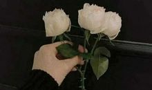 忧伤心烦的句子