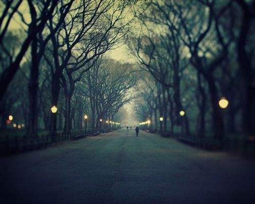 15.我不知道为什么,我觉得我觉得自己不公平,非常讨厌,像杂草和葬礼。