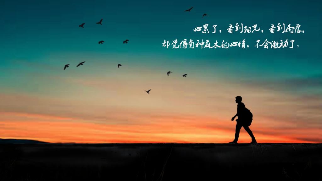 雨天的生存声明1