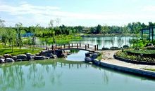 赞美同学友情的句子