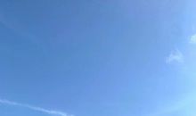 友情一个人也很好句子