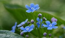 友情也好爱情也罢的句子