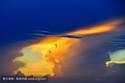 因为爱放弃了你的友谊句子1