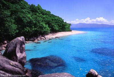 因为爱放弃了这句话