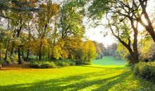 比喻友情恶心的句子