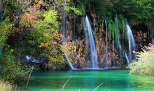 描写初夏的友情的句子