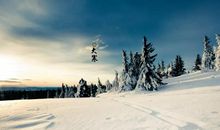 关于二十四节气大寒的诗句 大寒节气的优美诗词