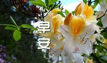 适合12月发朋友圈的句子