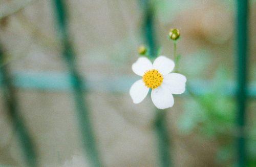 与家人的异国情调判刑