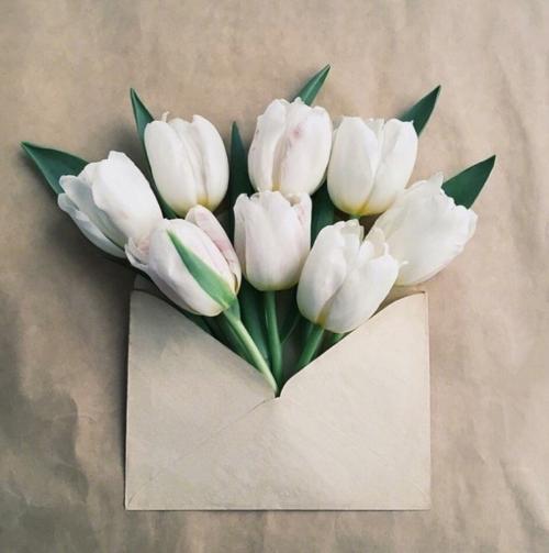 朋友们打扰了如何慰问1