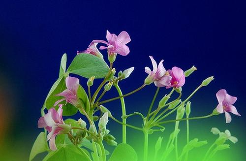 朋友们的工作让人心烦意乱