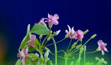 朋友工作心烦怎么安慰句子