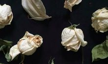 形容心烦不知道干什么的句子