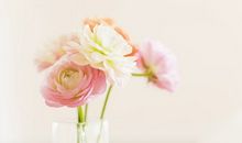 不重视亲情的句子