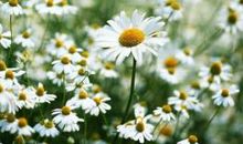 表达时光的句子亲情