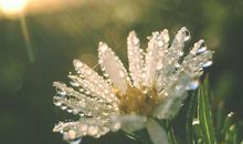 形容亲情的经典句子