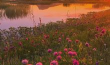 关于神明的文案