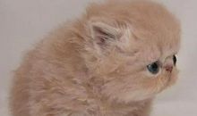 让你永远猜不到结尾的神反转句子 搞笑逗趣