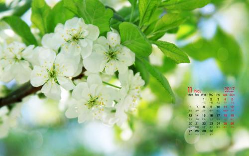 写一个美丽的句子2