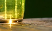 感慨亲情失望的句子