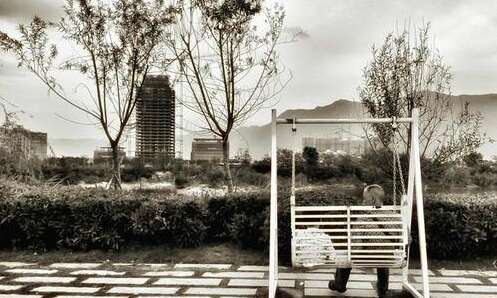 感受到感情的判决1