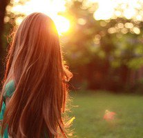 家庭文学句子1句子1