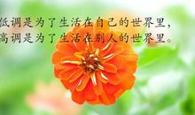 2020年朋友圈总结唯美句子