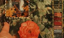 适合分手发的朋友圈的话