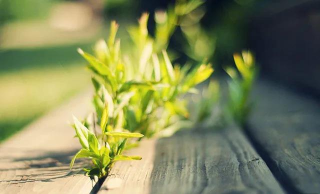 温柔的宝藏童话