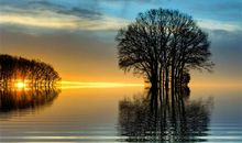 爱过心碎的句子