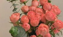 简短干净的句子