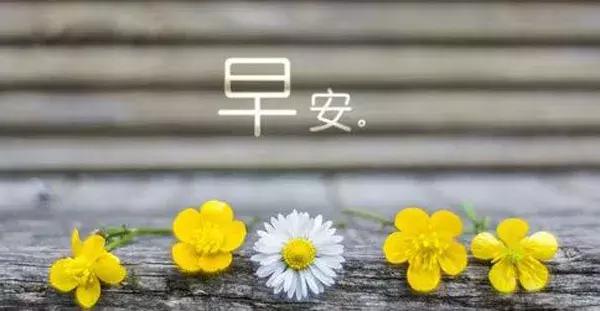 2021最新早上好句子温暖的灵感