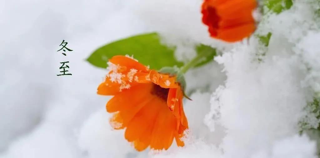 在冬天的假日问候