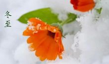 冬至的节日祝福语