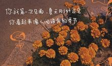 坚持的经典句子