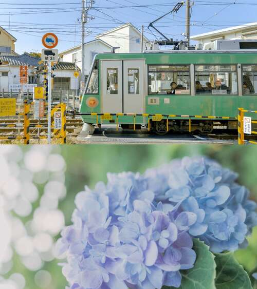 与梦想的经典句子