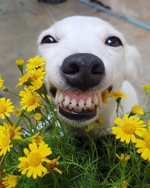 不充满热情的经典句子2020