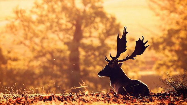 2020，美丽的心情句子