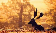 2020年末唯美心情句子